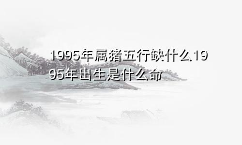 1995年属猪五行缺什么1995年出生是什么命