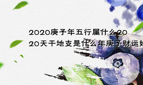 2020庚子年五行属什么2020天干地支是什么年庚子财运好的八字