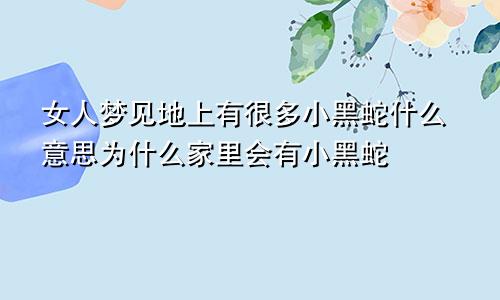 女人梦见地上有很多小黑蛇什么意思为什么家里会有小黑蛇