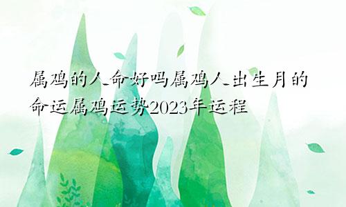 属鸡的人命好吗属鸡人出生月的命运属鸡运势2023年运程