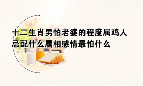 十二生肖男怕老婆的程度属鸡人忌配什么属相感情最怕什么