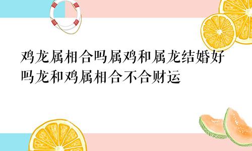 鸡龙属相合吗属鸡和属龙结婚好吗龙和鸡属相合不合财运