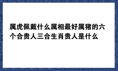 属虎佩戴什么属相最好属猪的六个合贵人三合生肖贵人是什么