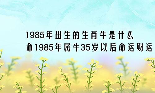 1985年出生的生肖牛是什么命1985年属牛35岁以后命运财运