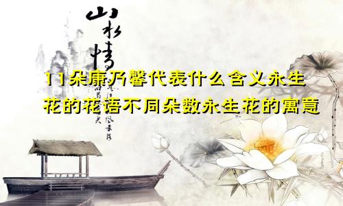 11朵康乃馨代表什么含义永生花的花语不同朵数永生花的寓意