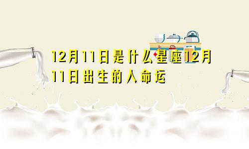 12月11日是什么星座12月11日出生的人命运