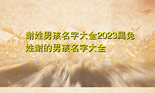 谢姓男孩名字大全2023属兔姓谢的男孩名字大全