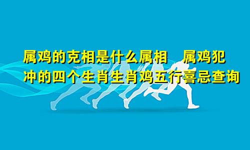 属鸡的克相是什么属相 属鸡犯冲的四个生肖生肖鸡五行喜忌查询