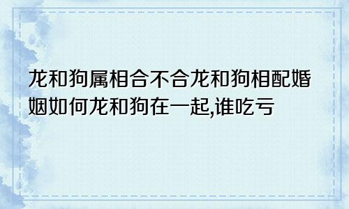 龙和狗属相合不合龙和狗相配婚姻如何龙和狗在一起,谁吃亏