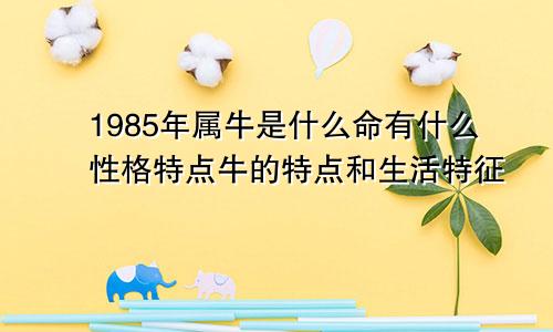 1985年属牛是什么命有什么性格特点牛的特点和生活特征