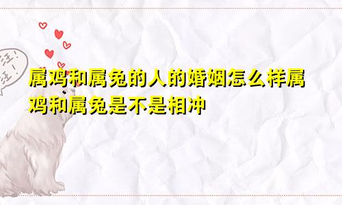 属鸡和属兔的人的婚姻怎么样属鸡和属兔是不是相冲