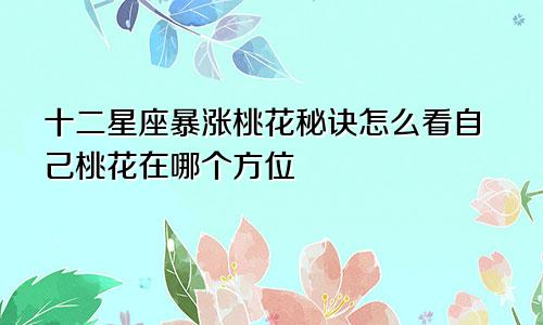 十二星座暴涨桃花秘诀怎么看自己桃花在哪个方位