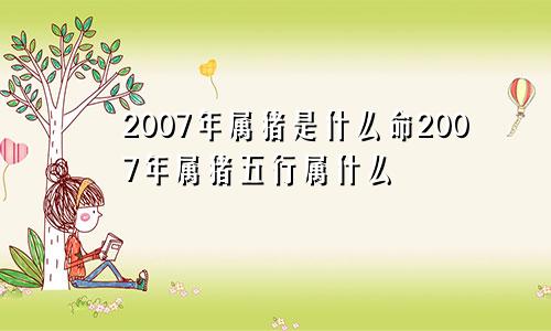 2007年属猪是什么命2007年属猪五行属什么