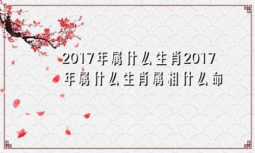 2017年属什么生肖2017年属什么生肖属相什么命