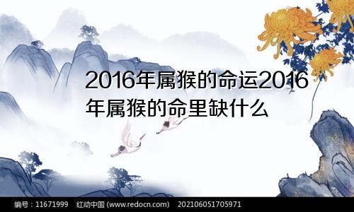 2016年属猴的命运2016年属猴的命里缺什么