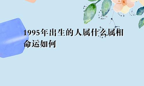 1995年出生的人属什么属相命运如何