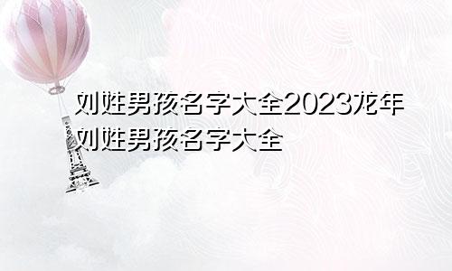 刘姓男孩名字大全2023龙年刘姓男孩名字大全