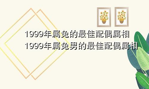 1999年属兔的最佳配偶属相1999年属兔男的最佳配偶属相