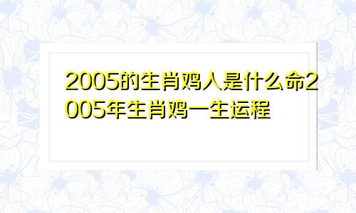 2005的生肖鸡人是什么命2005年生肖鸡一生运程