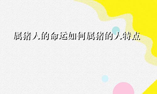 属猪人的命运如何属猪的人特点