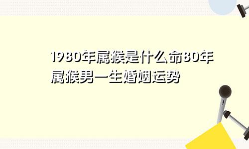 1980年属猴是什么命80年属猴男一生婚姻运势