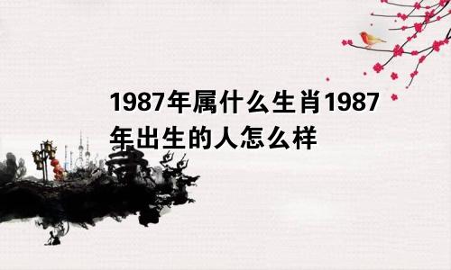 1987年属什么生肖1987年出生的人怎么样