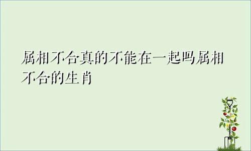 属相不合真的不能在一起吗属相不合的生肖