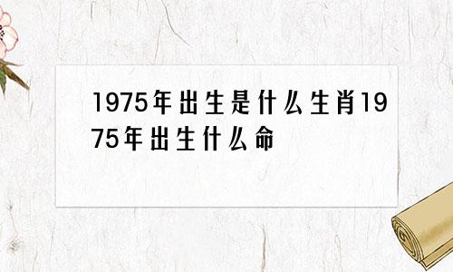 1975年出生是什么生肖1975年出生什么命