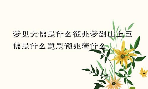 梦见大佛是什么征兆梦到山上巨佛是什么意思预兆着什么