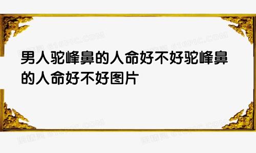 男人驼峰鼻的人命好不好驼峰鼻的人命好不好图片