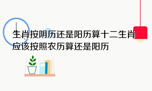 生肖按阴历还是阳历算十二生肖应该按照农历算还是阳历