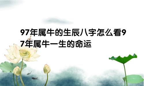 97年属牛的生辰八字怎么看97年属牛一生的命运