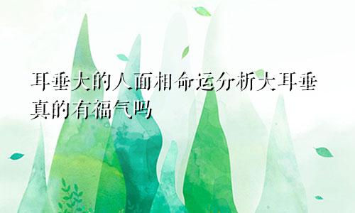 耳垂大的人面相命运分析大耳垂真的有福气吗