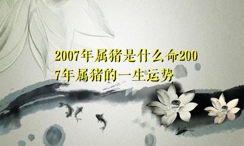 2007年属猪是什么命2007年属猪的一生运势