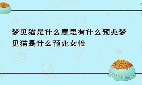 梦见猫是什么意思有什么预兆梦见猫是什么预兆女性