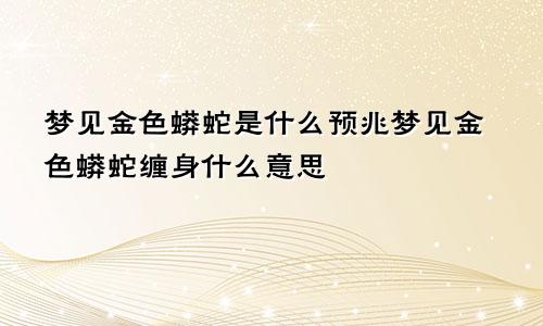 梦见金色蟒蛇是什么预兆梦见金色蟒蛇缠身什么意思