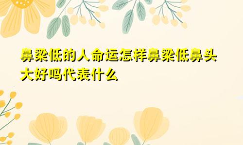 鼻梁低的人命运怎样鼻梁低鼻头大好吗代表什么