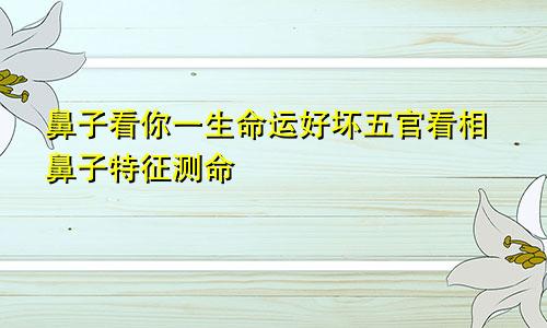 鼻子看你一生命运好坏五官看相鼻子特征测命