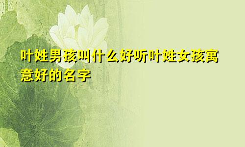 叶姓男孩叫什么好听叶姓女孩寓意好的名字