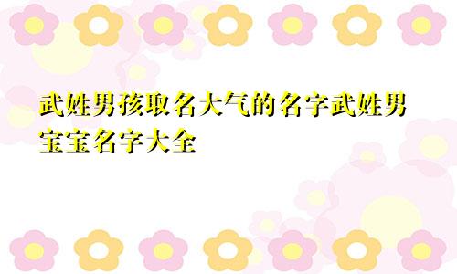 武姓男孩取名大气的名字武姓男宝宝名字大全