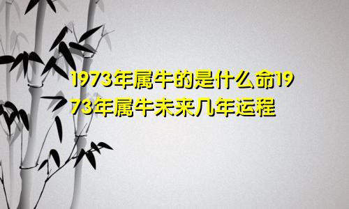 1973年属牛的是什么命1973年属牛未来几年运程