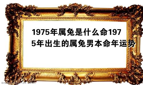 1975年属兔是什么命1975年出生的属兔男本命年运势