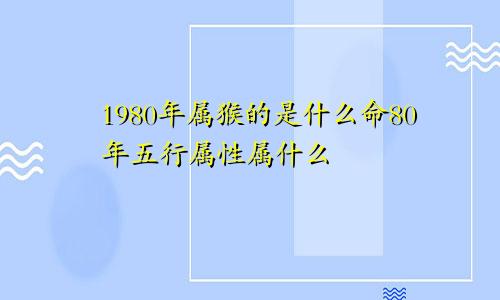 1980年属猴的是什么命80年五行属性属什么