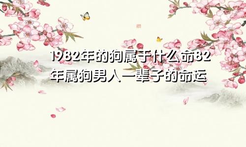 1982年的狗属于什么命82年属狗男人一辈子的命运