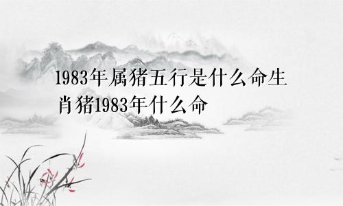 1983年属猪五行是什么命生肖猪1983年什么命