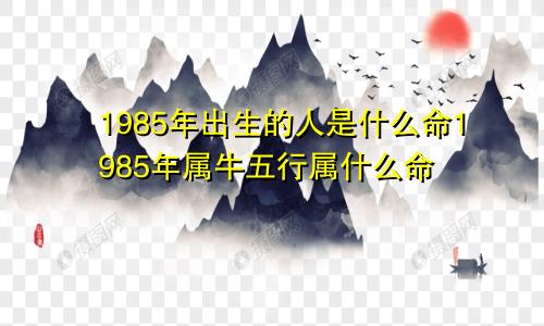 1985年出生的人是什么命1985年属牛五行属什么命