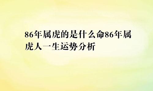 86年属虎的是什么命86年属虎人一生运势分析