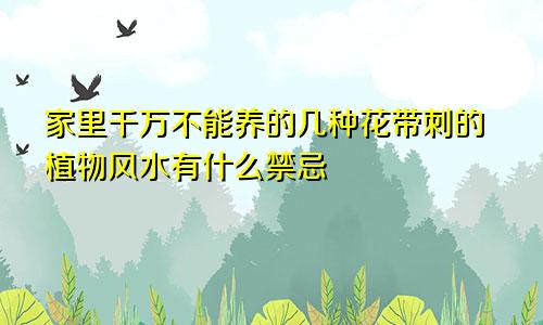 家里千万不能养的几种花带刺的植物风水有什么禁忌