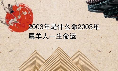 2003年是什么命2003年属羊人一生命运