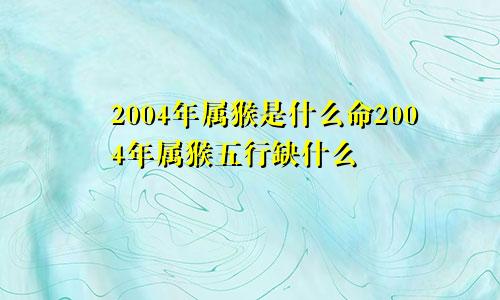 2004年属猴是什么命2004年属猴五行缺什么